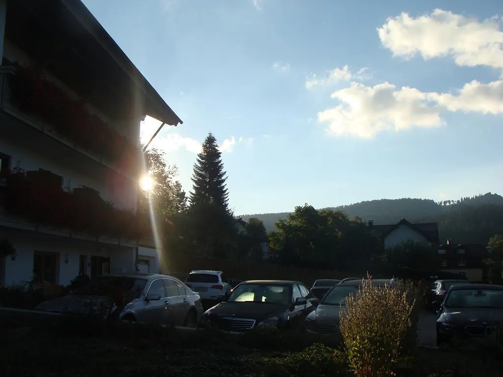 Drei Tannen Hotel Bodenmais 4*,  Germany