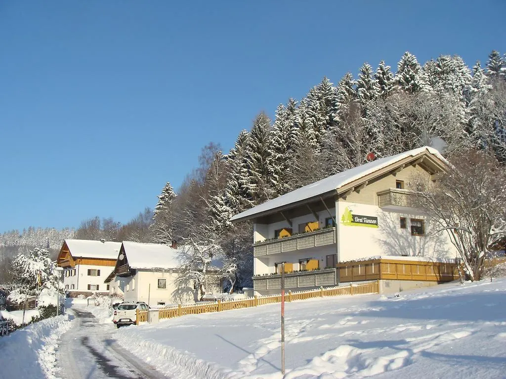 Drei Tannen Hotel Bodenmais 4*,
