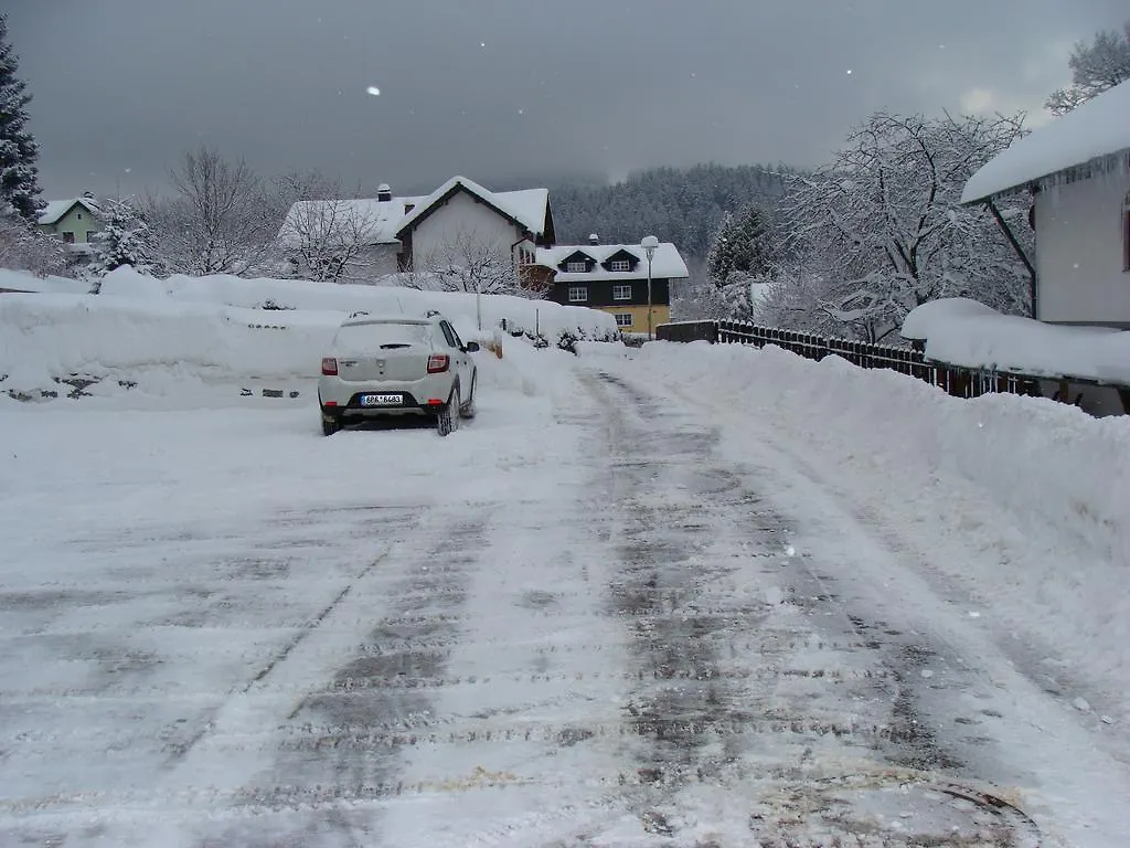 Guest house Drei Tannen Hotel Bodenmais