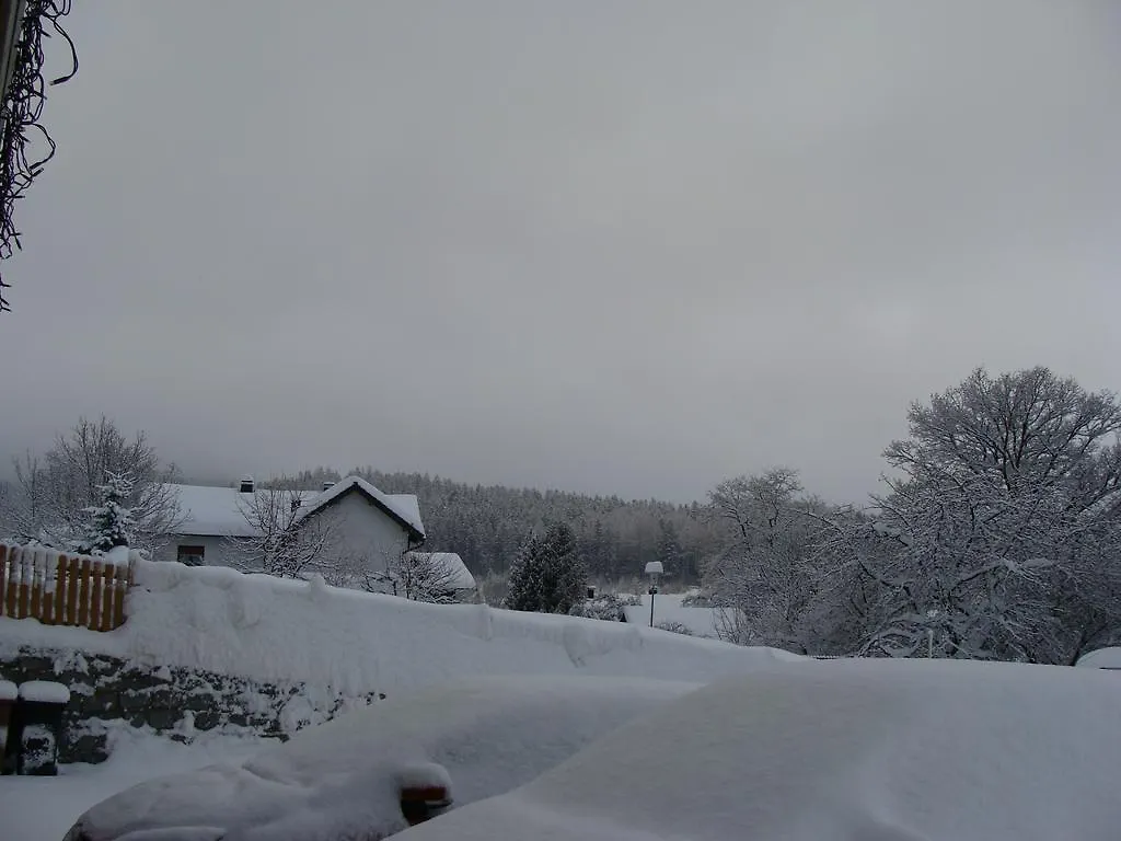 Drei Tannen Hotel Bodenmais 4*,